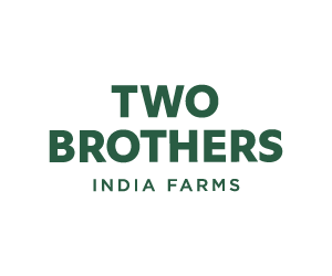 Sponsor - Two Brothers Logo